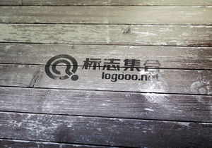 品牌提案Logo样机效果图