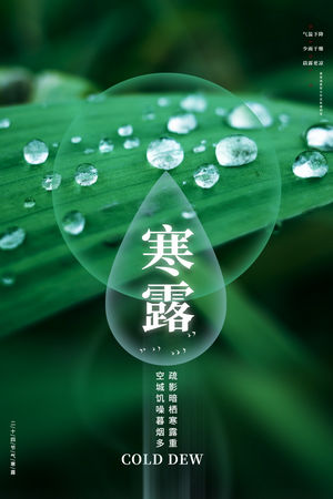 二十四24节气寒露海报