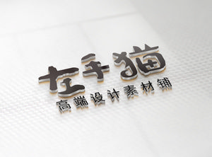 LOGO效果图展示样机