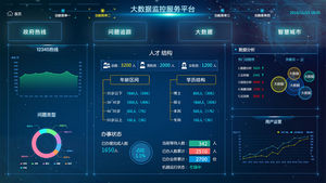 大数据网络可视化界面